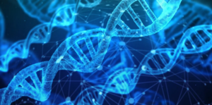 génétique santé gène ADN caractères héréditaires hérédité